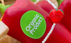 Freshly Sticker Mockup